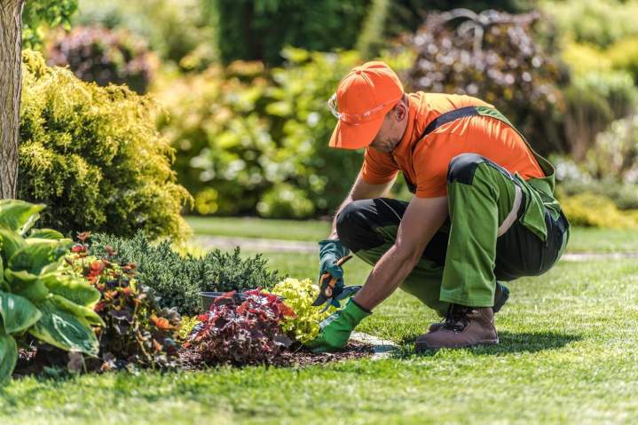 Comment niveler et nettoyer un terrain résidentiel ? Gatineau